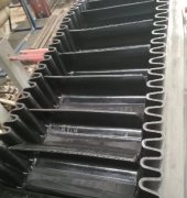 國內成人看片APP下载廠家發展及輸送帶行業增長